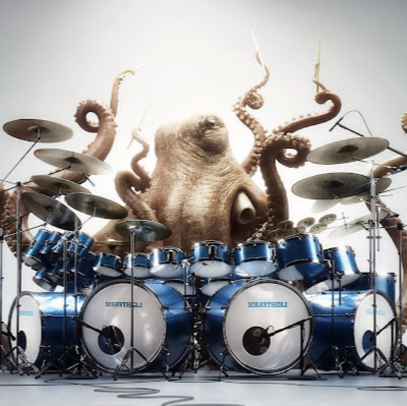 Meet your Posher, Avery - Picture 1 of 1